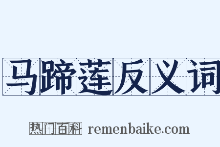 马蹄莲反义词是什么意思的图片